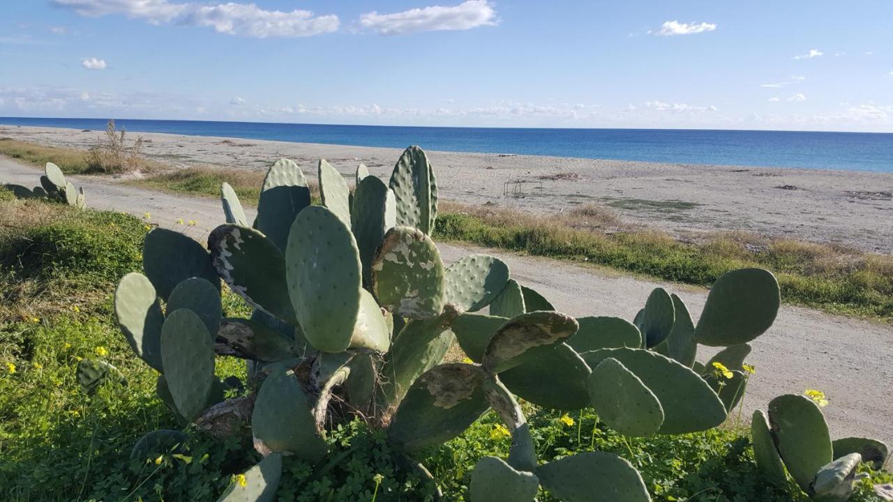 Magna Grecia B&B E Appartamenti Caulonia Marina Zewnętrze zdjęcie